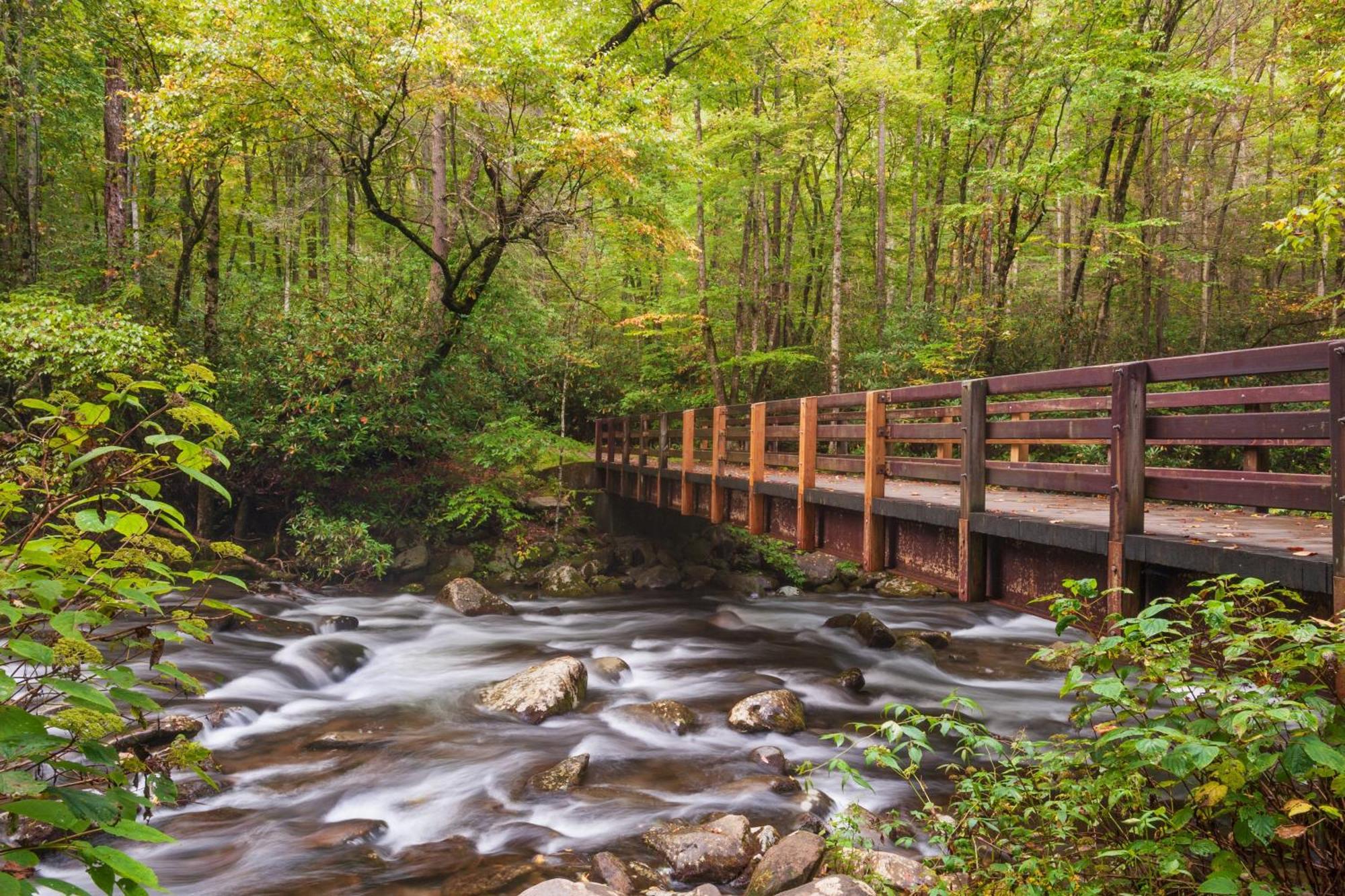 A Higher Calling, 1089 Of Free Area Attraction Tickets For Each Paid Day, Dollywood And More! Піджен-Фордж Екстер'єр фото